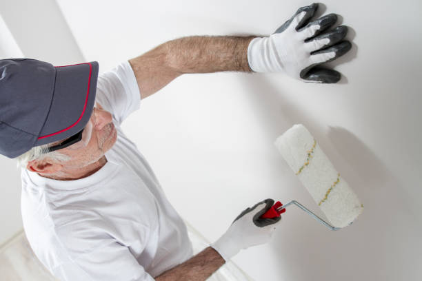 Best Asbestos and Lead Testing During Mold Inspection  in Northvale, NJ