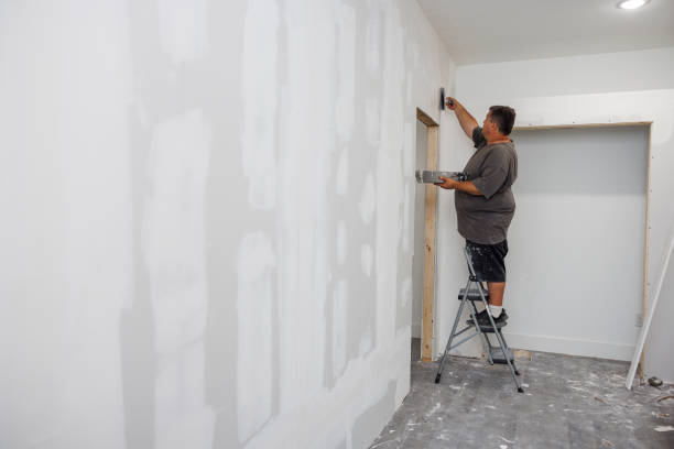 Mold Documentation for Insurance Claims in Northvale, NJ